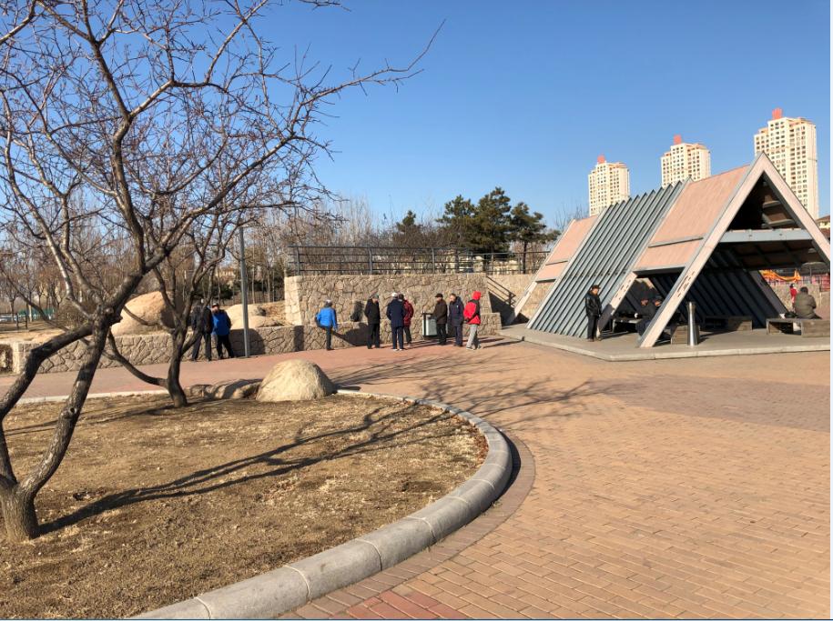 广州市南沙区最新动态，活力之都的自信成就与变迁