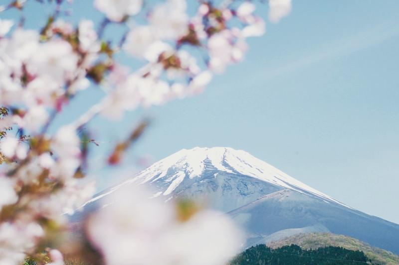 最新旅行风潮，探索自然美景，重拾内心宁静的平和之旅