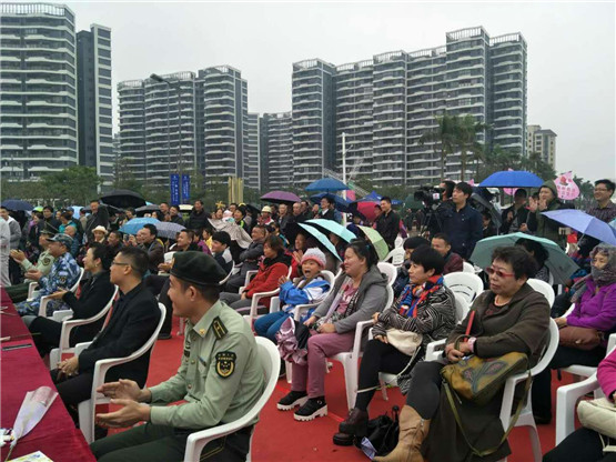 海口新埠岛最新动态揭秘，自然美景探索之旅，寻找内心宁静之道