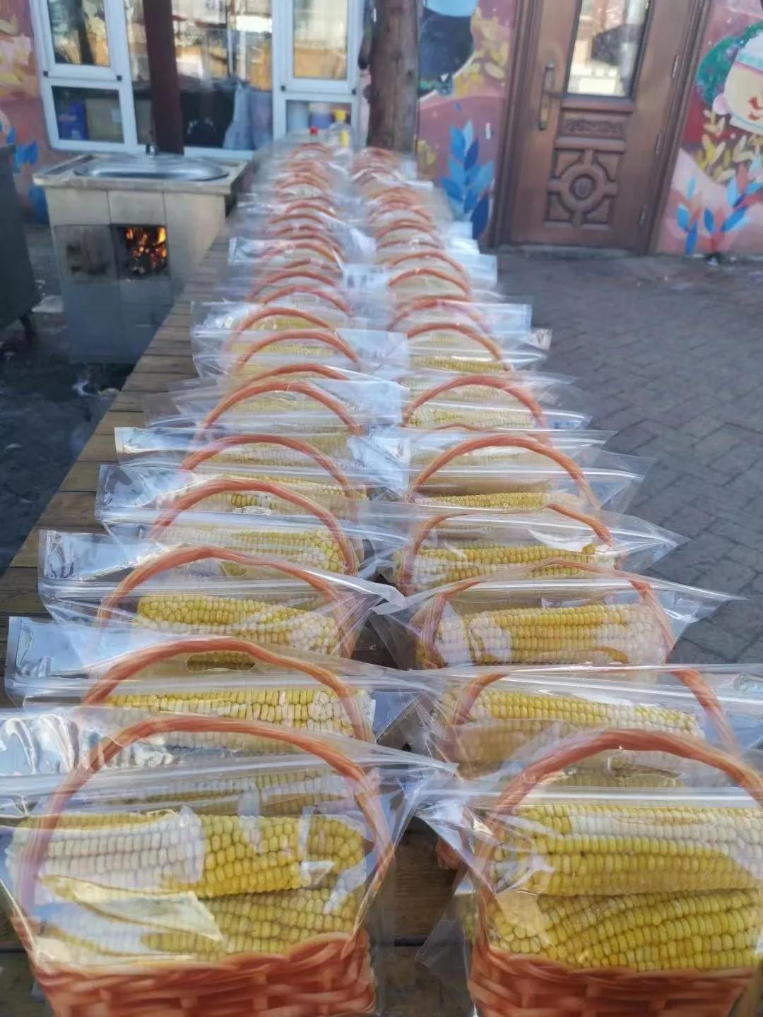 成都红光镇最新区规划，自然美景探索之旅启动