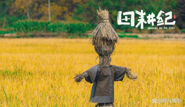 农民王小最新视频，自然美景探索之旅的治愈力量