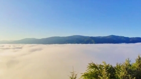 最新一期星光大道,最新一期星光大道，一场自然美景的探索之旅