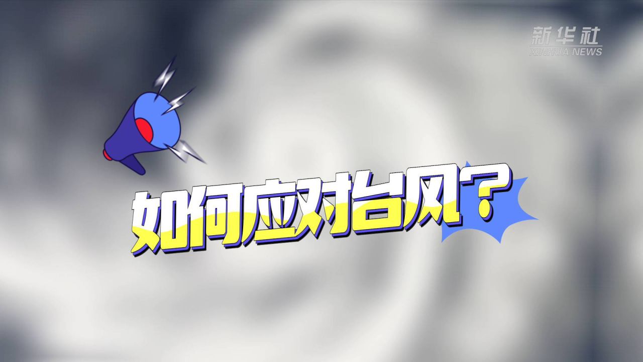 台风最新动态，台风四号步骤指南及最新动态更新