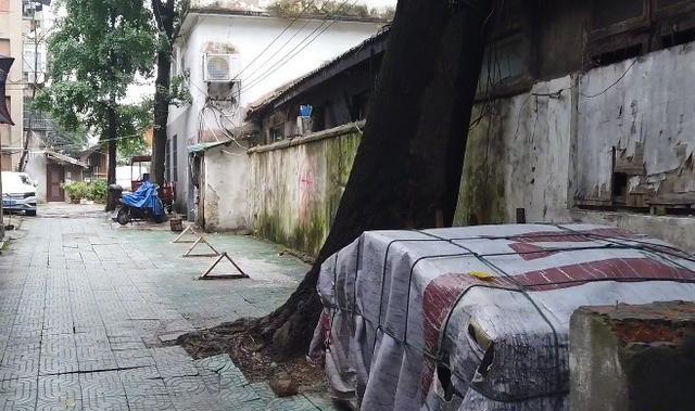 合肥巷弄深处的死亡故事与独特风味