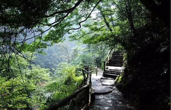 前川线最新消息,前川线最新消息，一场拥抱自然美景的轻松之旅
