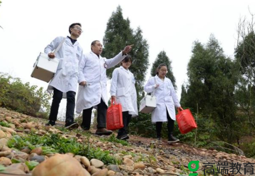贵州乡村医生最新政策,贵州乡村医生最新政策，全面指南