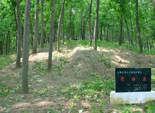 定陶汉墓最新动态，历史遗迹引发现代关注