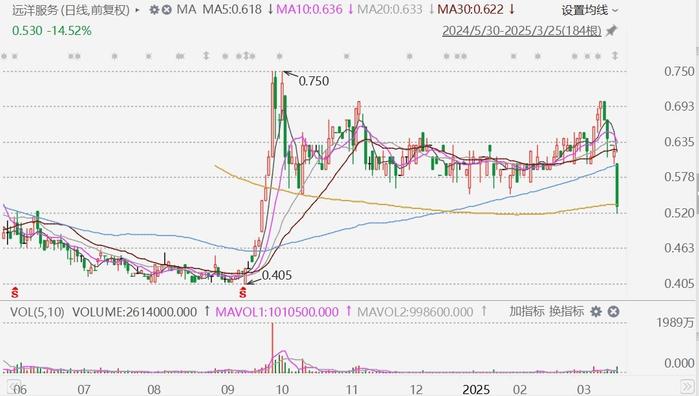 中国远洋股票最新动态，携手同行，共创辉煌航程