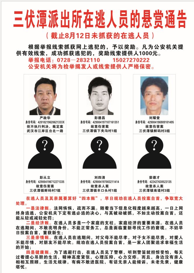 仙桃三伏潭最新动态揭秘，夏日奇遇探秘之旅