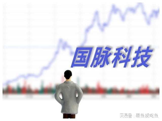 国脉科技引领科技前沿，最新动态揭秘未来发展🚀