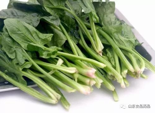 山东菠菜价格动态，机遇与自我超越的探寻之路