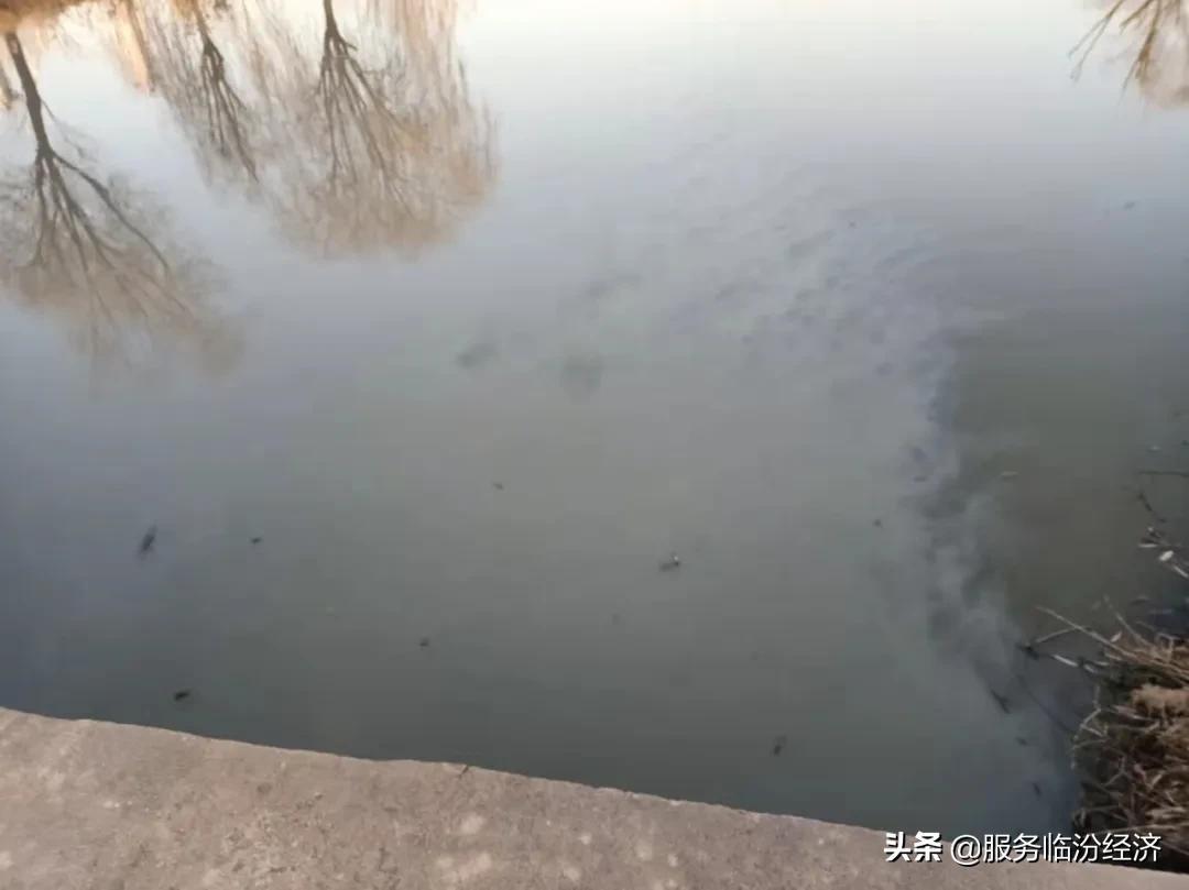 临汾市涝洰河最新动态,临汾市涝洰河最新动态，了解与参与治理的详细步骤指南