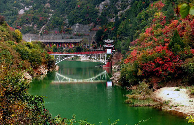 盛虎堂铁壶最新价格，与自然美景的邂逅之旅