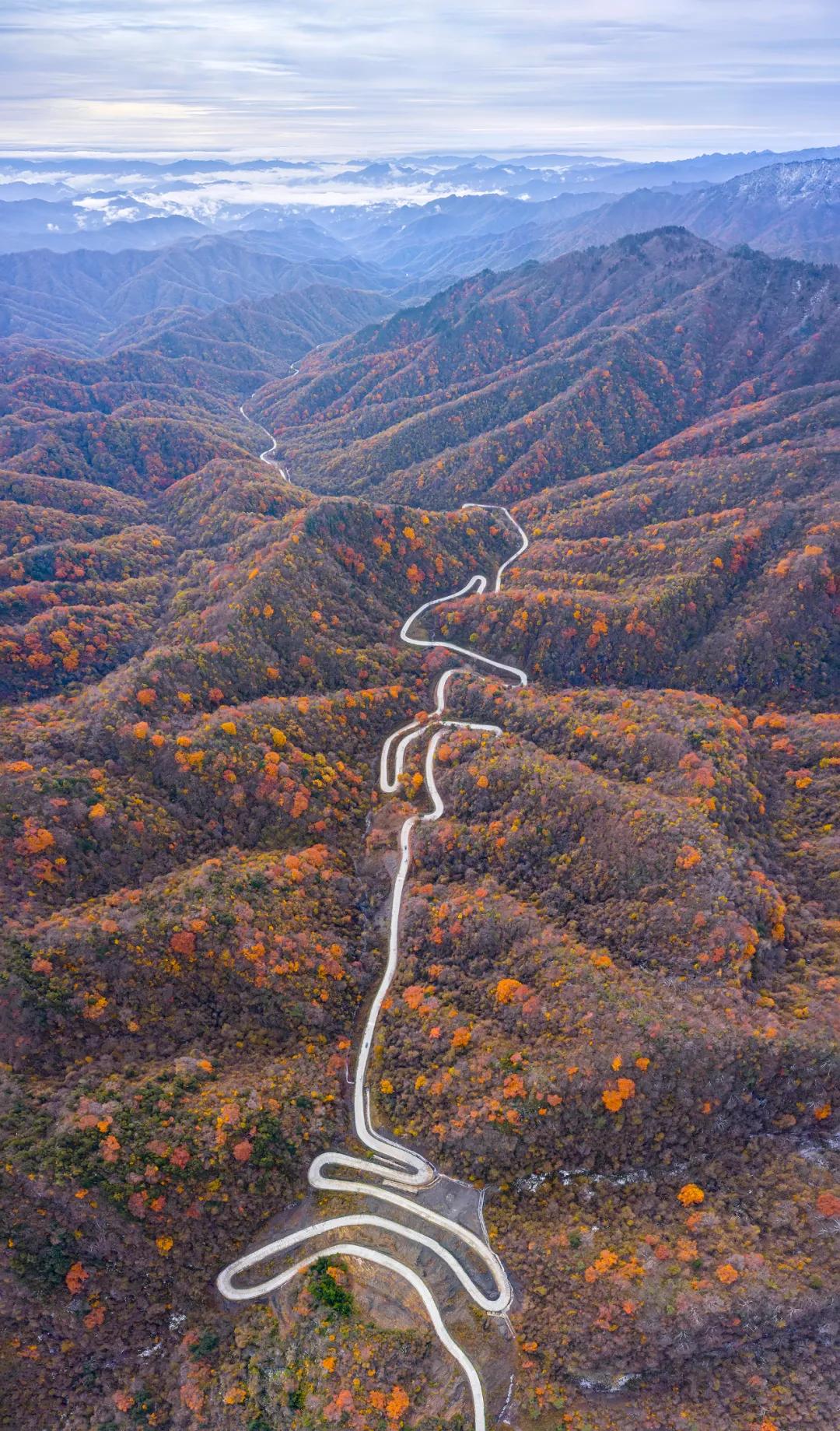 最新一期揭晓号码，自然美景的邂逅之旅揭秘