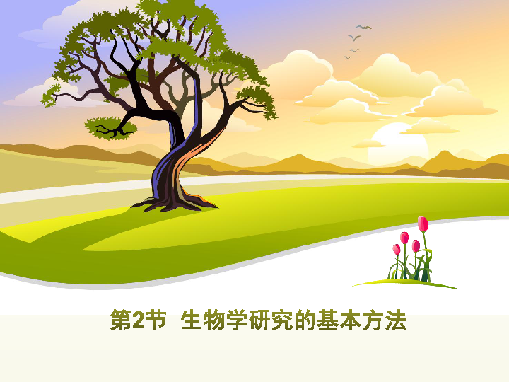 大象册最新探索自然美景之旅，治愈心灵，寻找内心平和的旅程