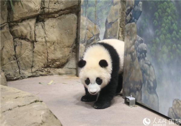 福特最新7座SUV车型，与自然共舞的完美伙伴