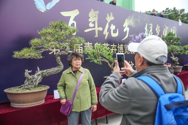 中韩局势最新动态，自然美景背后的探索之旅与局势观察
